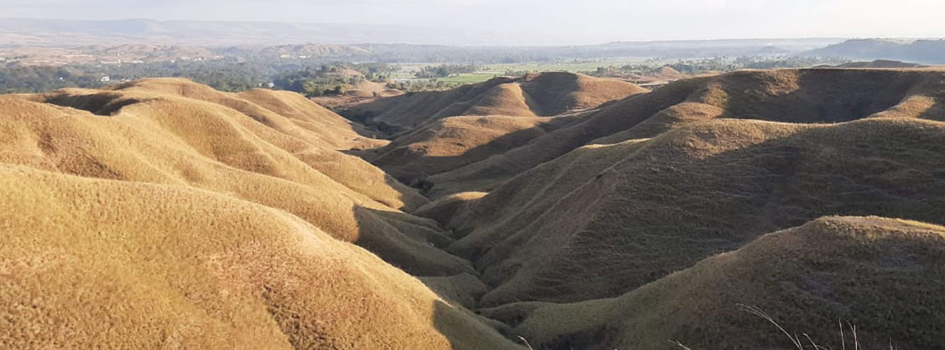 Bukit Tenau, Waingapu, Sumba Timur